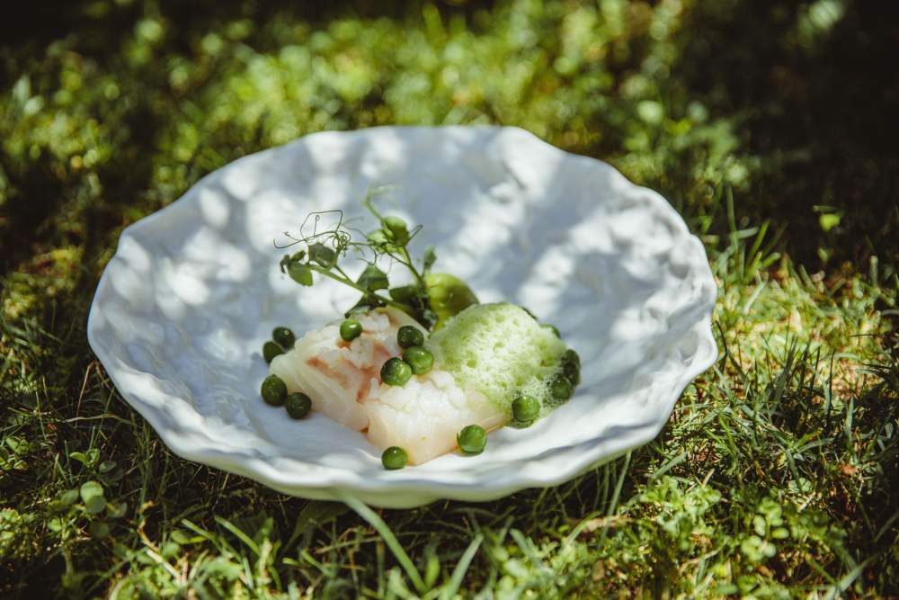 Plat - <span><span><span>Les Cèdres </span></span></span><span><span><span><span><span>·</span></span></span></span></span><span><span><span> Restaurant Gastronomique étoilé Drôme, Granges-les-Beaumont</span></span></span>