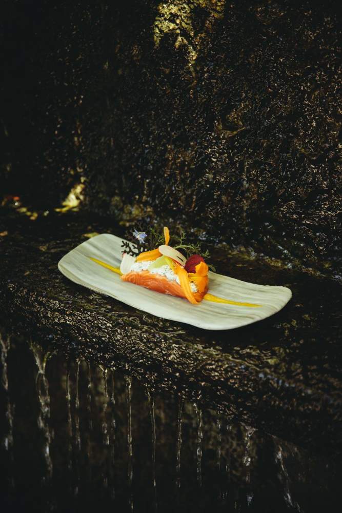 Plat - <span><span><span>Les Cèdres </span></span></span><span><span><span><span><span>·</span></span></span></span></span><span><span><span> Restaurant Gastronomique étoilé Drôme, Granges-les-Beaumont</span></span></span>